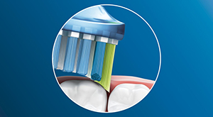 Philips Sonicare Premium Plaque Defence 2tk (mustad)