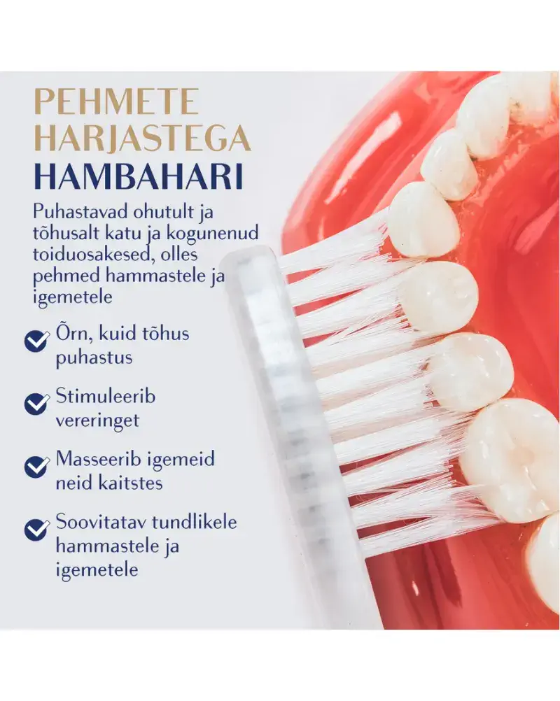 Royal Denta hambahari Silver Soft