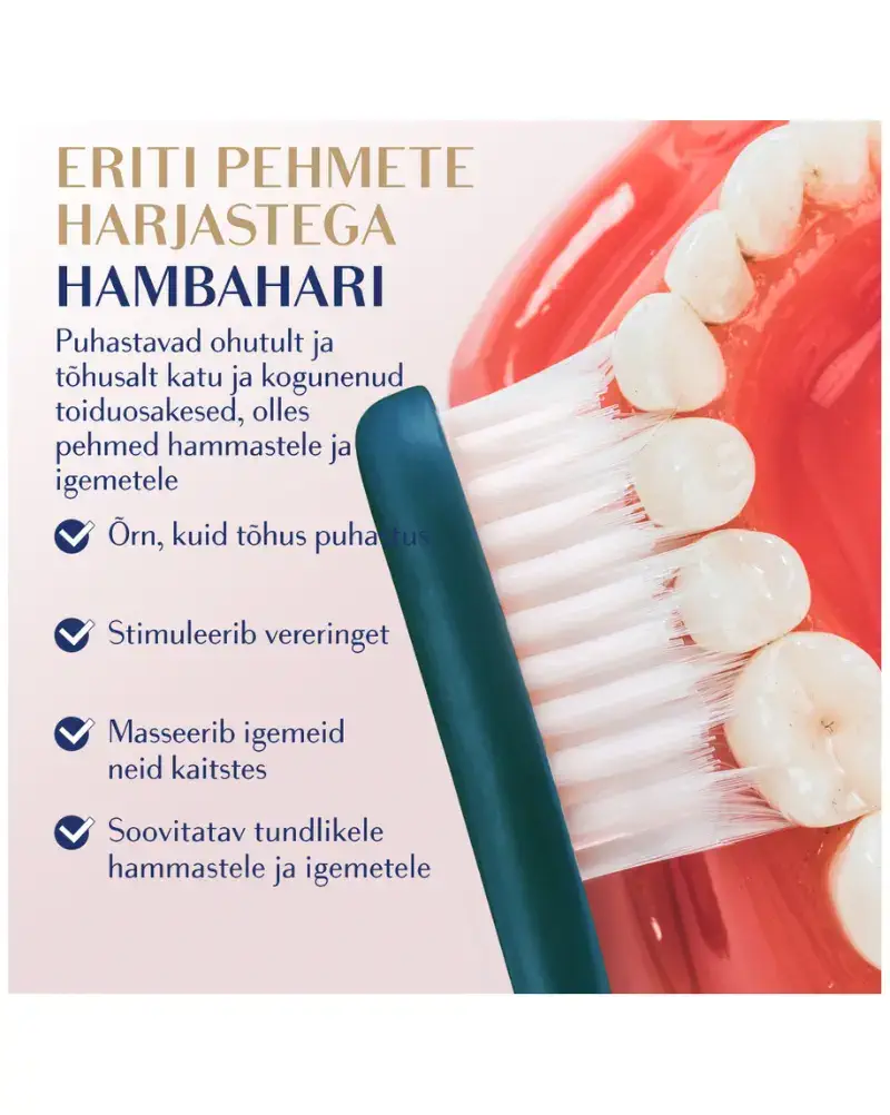 Royal Denta hambahari Silver Super soft