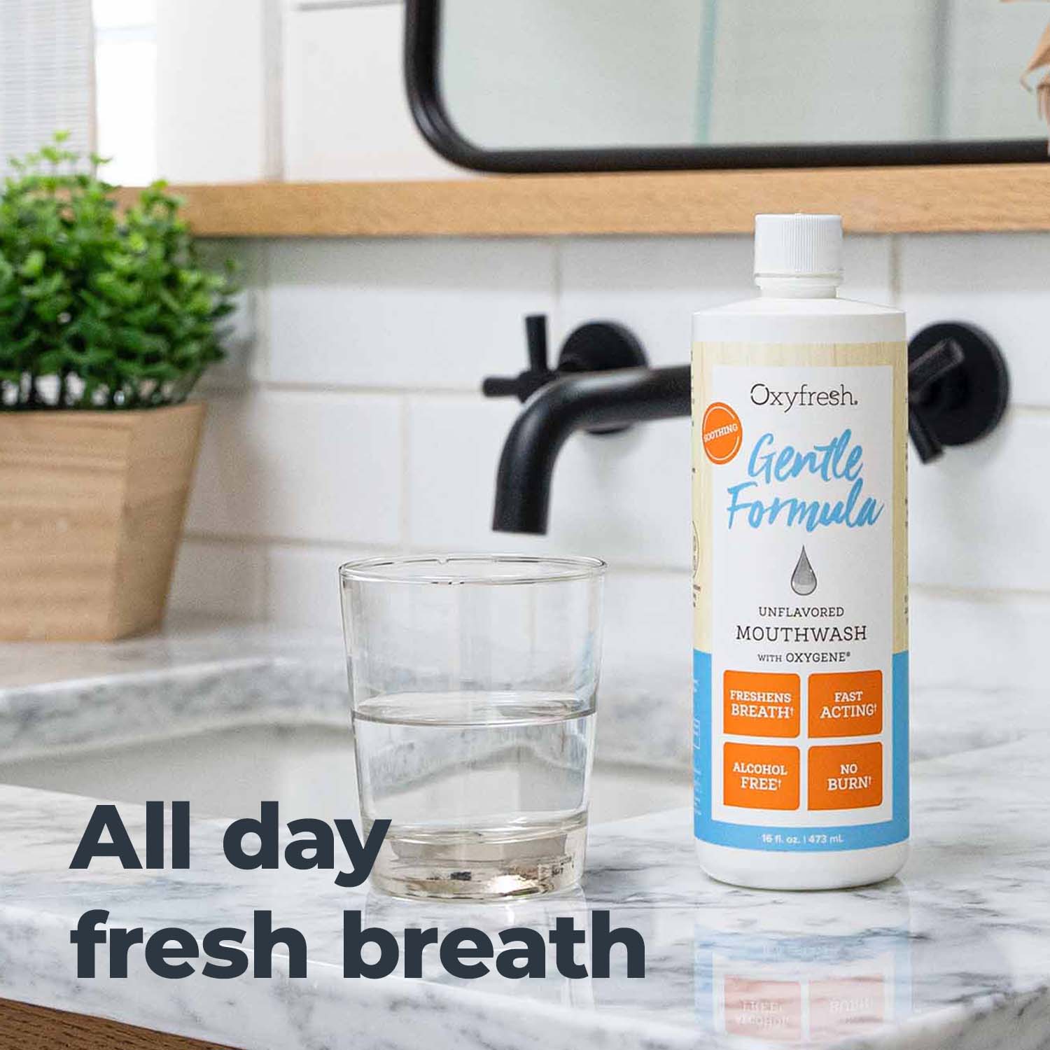 Oxyfresh Gentle Formula maitsestamata suuvesi 473 ml