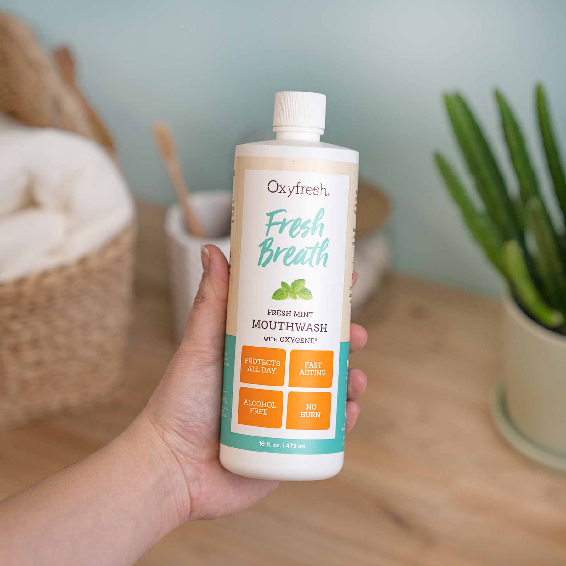 Oxyfresh Fresh Breath Fresh Mint suuvesi 473 ml