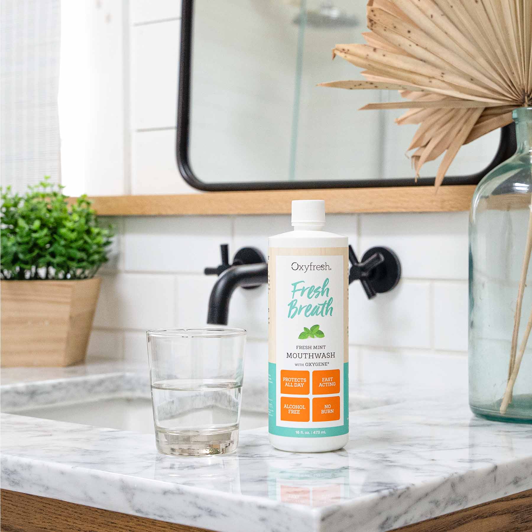 Oxyfresh Fresh Mint suuvesi