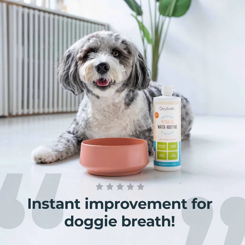 oxyfresh_pet_water_additive