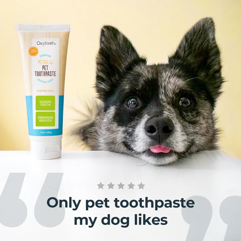 oxyfreshpettoothpaste
