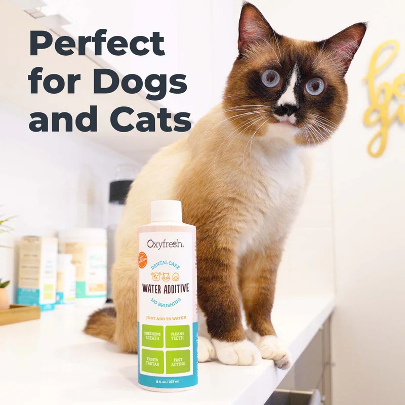 oxyfreshpetwateradditivelifestyle