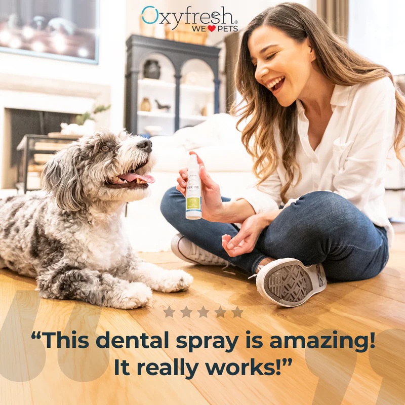 oxyfreshpet