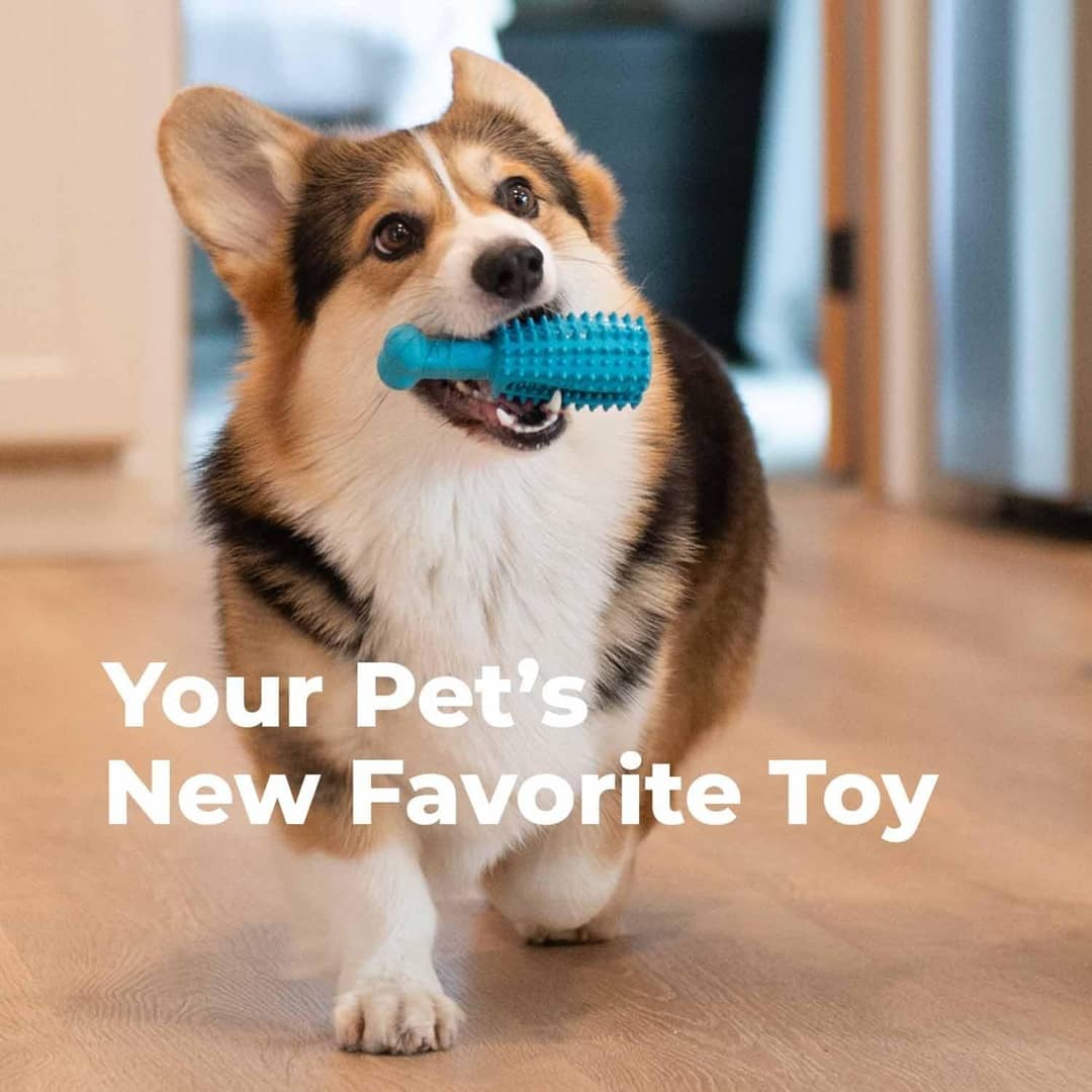 chewingtoy
